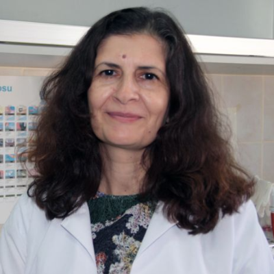 Ülkü Anık Ülkü Anık