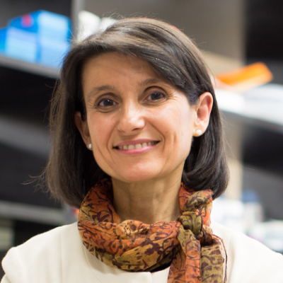 Ana Maria Cuervo Ana Maria Cuervo