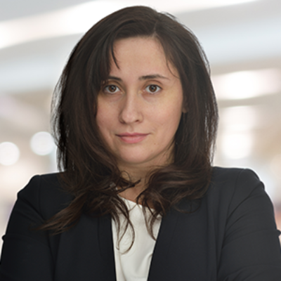 Ana-Maria Zanfir