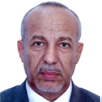 Muhammed Lemine Haless