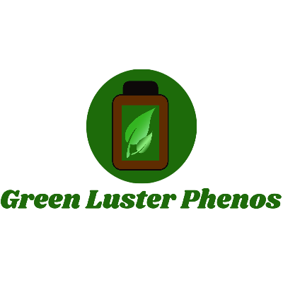 Green Luster Phenos Green Luster Phenos